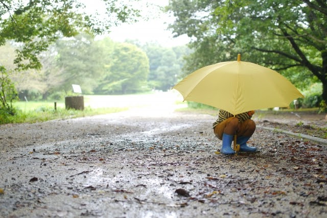 傘 かさ 幼稚園 保育園に入園する幼児におすすめな雨傘選びからお名前付けまで お名前シール製作所 スタッフブログ